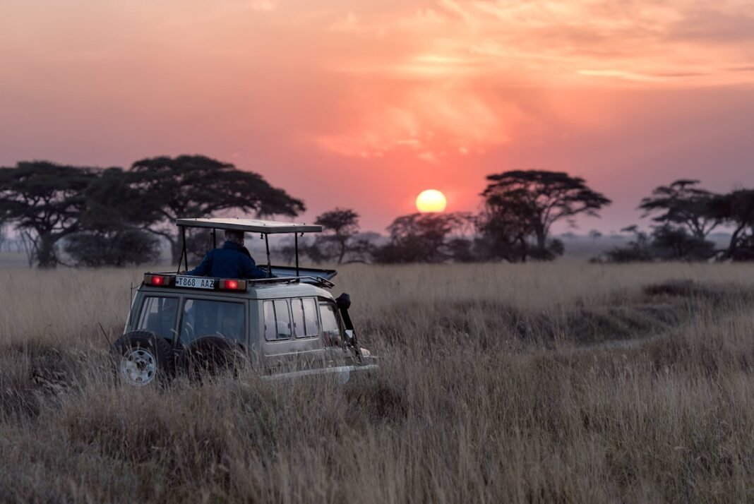 Travel Africa: 8 Unforgettable Destinations You Must Visit in 2026